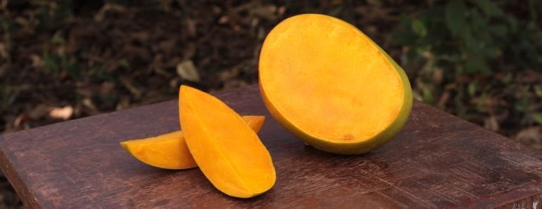 Alphonso Mango