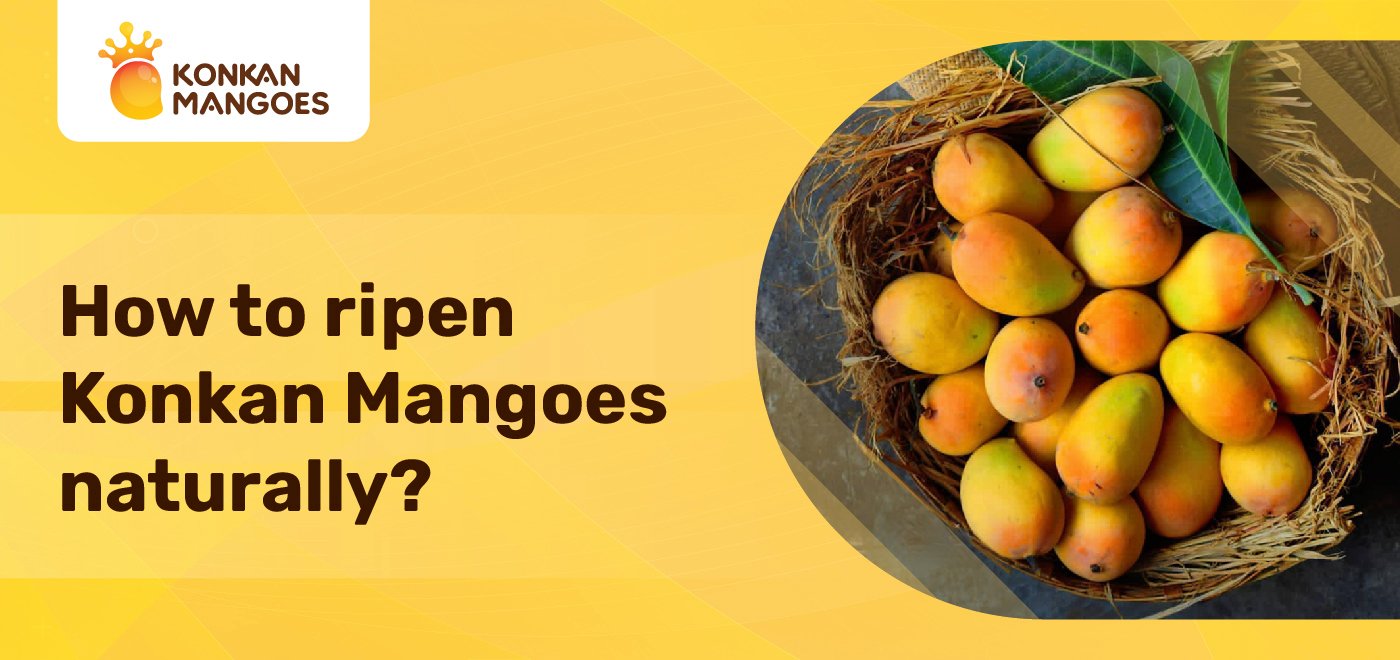 how to ripen mangoes