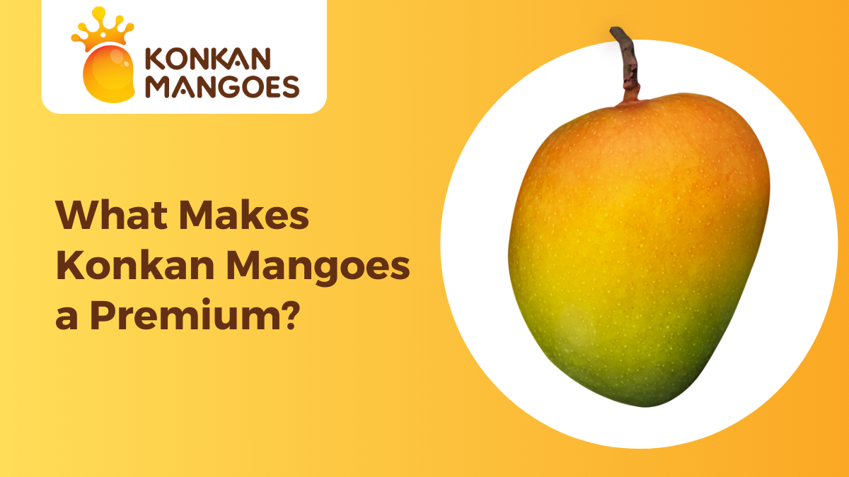 Konkan Mango a Premium Type of Mango